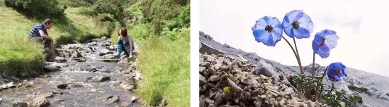 这个夏天,你也会一见雪山误终生吗? | 免费住宿福利