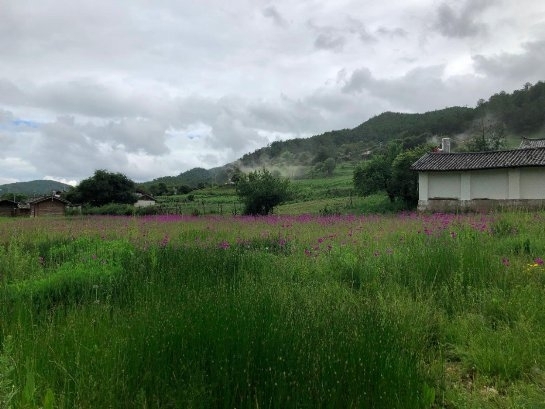 这个夏天,你也会一见雪山误终生吗? | 免费住宿福利