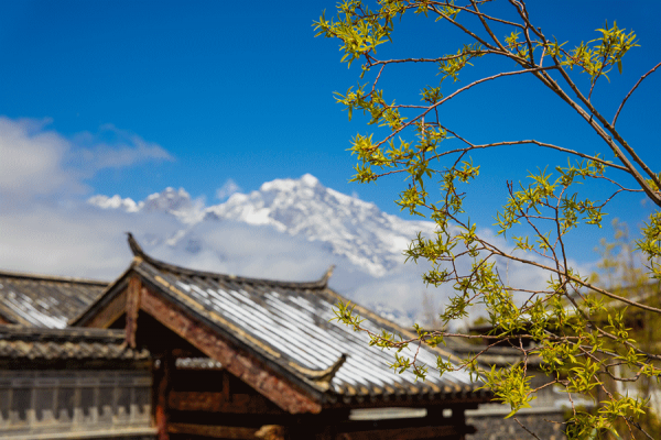 这个夏天,你也会一见雪山误终生吗? | 免费住宿福利