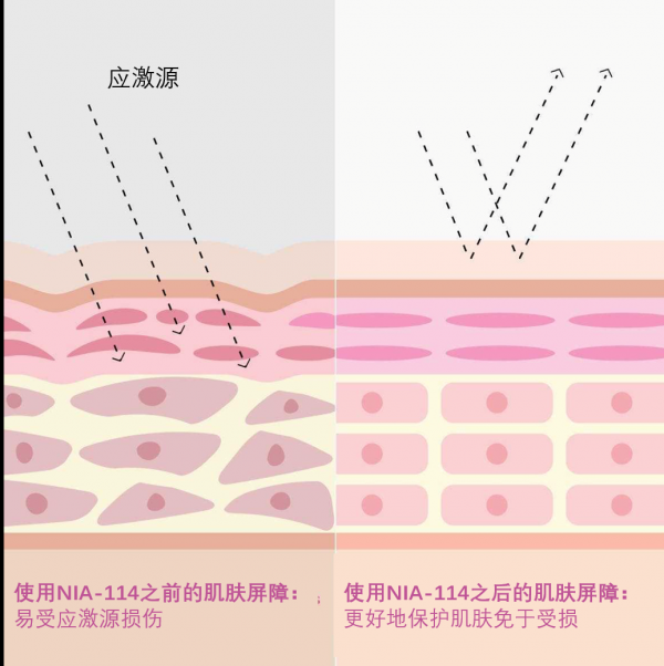 StriVectin思薇婷焕白肌光水重磅上市 拯救时光危“肌”,开启抗老新纪元
