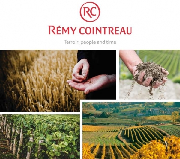 A collage of different images of agricultural fields

AI-generated content may be incorrect.