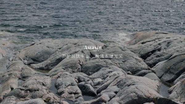 以自然之力，诠释北欧护肤哲学：Astaxin Stockholm 2025美博会重磅发布三款森源护肤新品