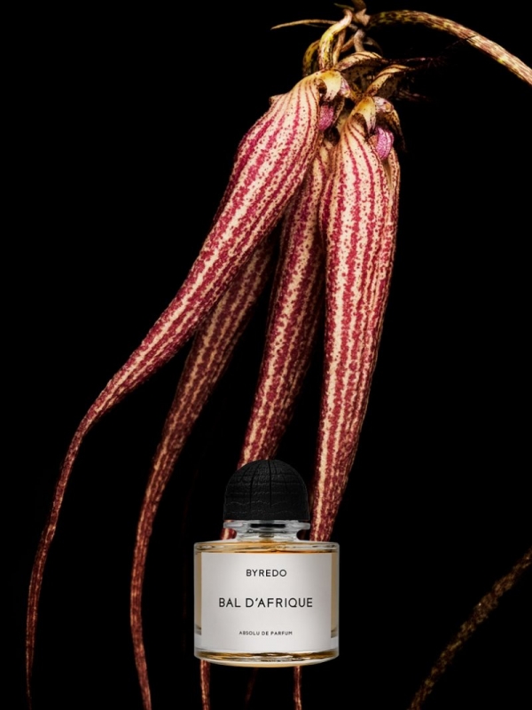 BYREDO
典藏版
Bal d’Afrique
热带爵士香水创意视觉
摄影师
© Zhong Lin